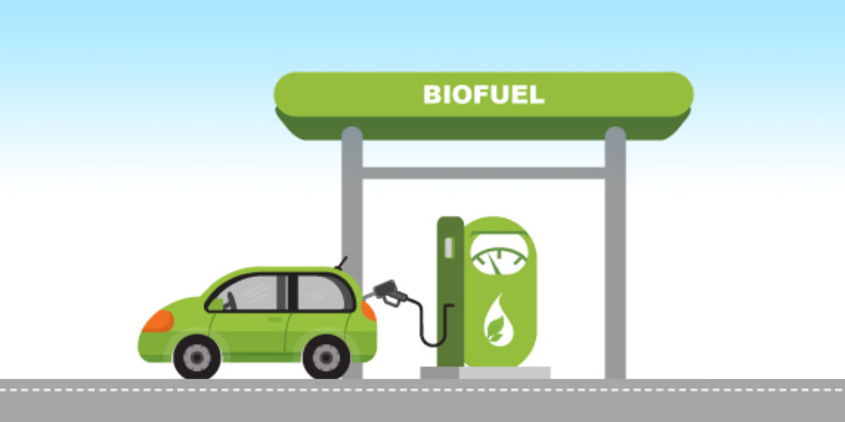 Business potential opportunity for ASEAN Biofuels