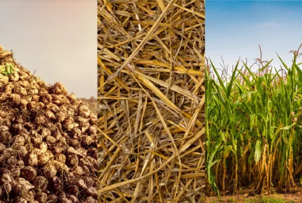 agricultural biomass